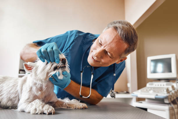 Best Emergency Wisdom Teeth Removal in Griffin, GA